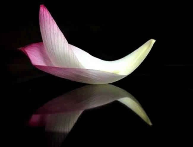 Nghĩ Đến Cái Chết, Hãy An Vui