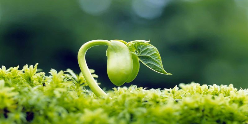 Khó khăn thử thách để lại gì?